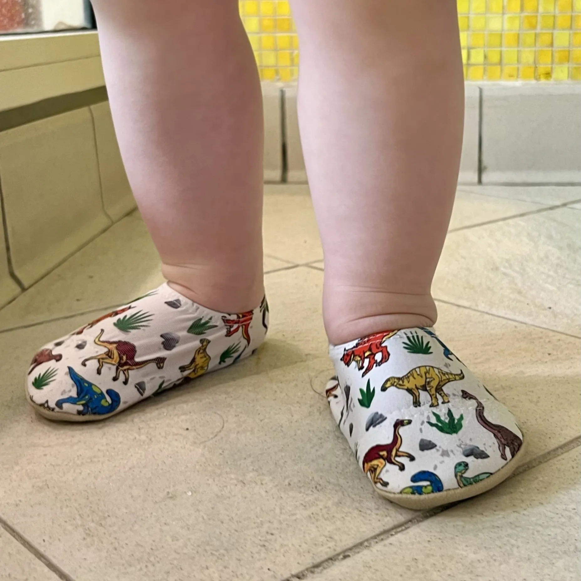 Arizona Dinosaur Kids Slipfree Shoes